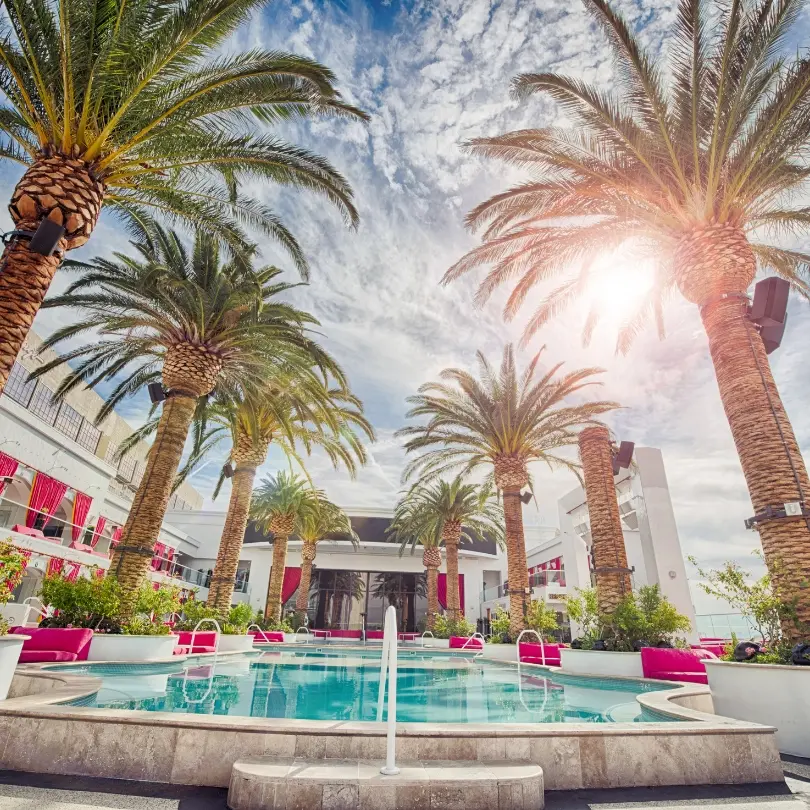 Sunny resort pool surrounded by palm trees