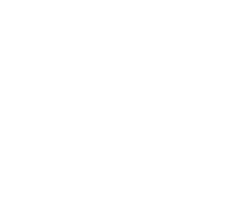 The Chicago Hotel Collection
